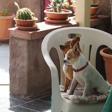 Abbamala Village Apart-hotel 3*