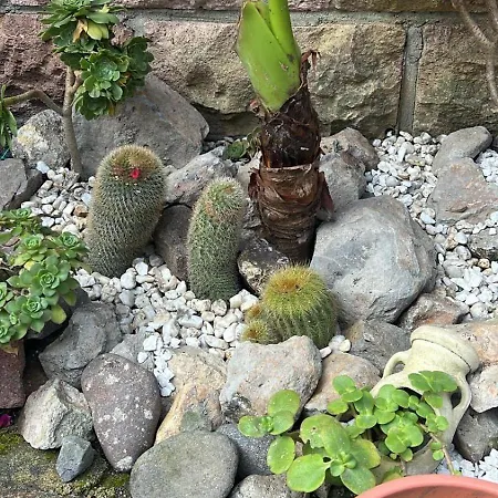 Apart-hotel Abbamala Village 3*