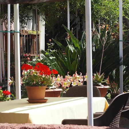 شقة فندقية Abbamala Village بوسا