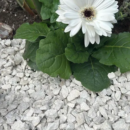 Abbamala Village شقة فندقية 3*