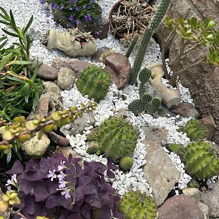 Abbamala Village شقة فندقية